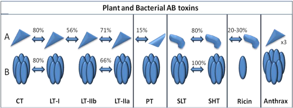 Toxins 02 01612 g002