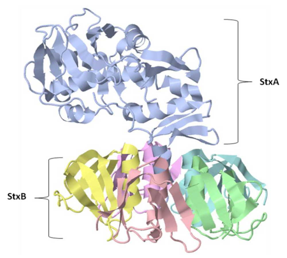 Toxins 02 01612 g004 1024
