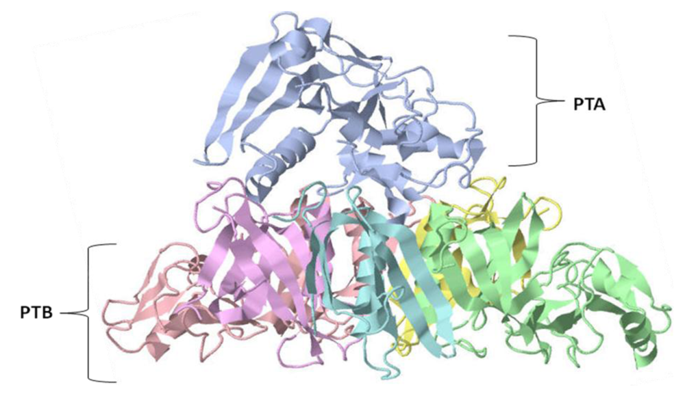 Toxins 02 01612 g005
