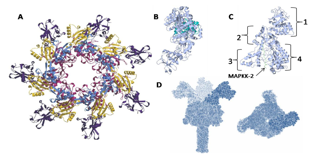 Toxins 02 01612 g006