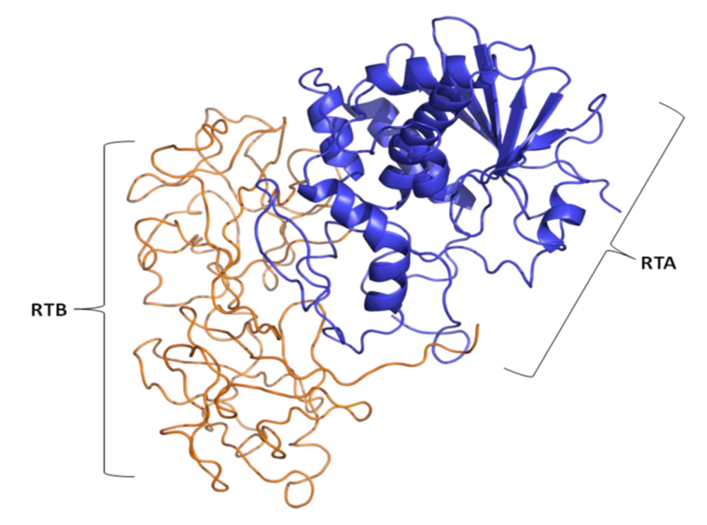 Toxins 02 01612 g007