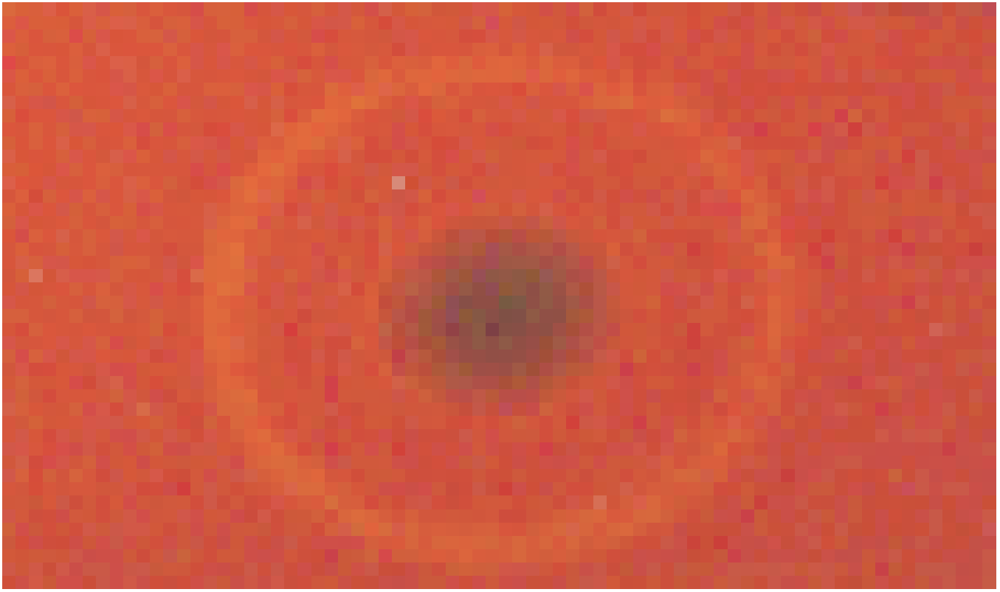 Toxins 02 01690 g001 1024