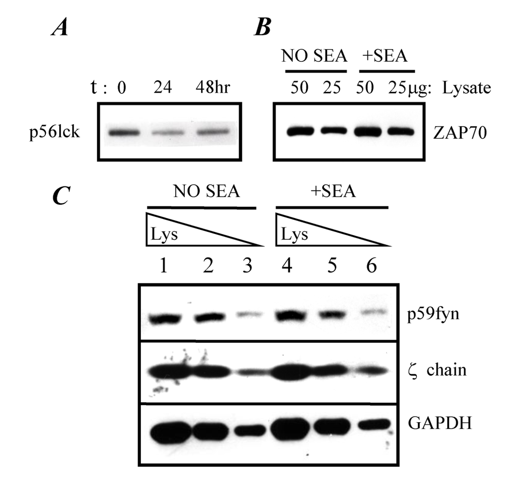 Toxins 02 01704 g004 1024