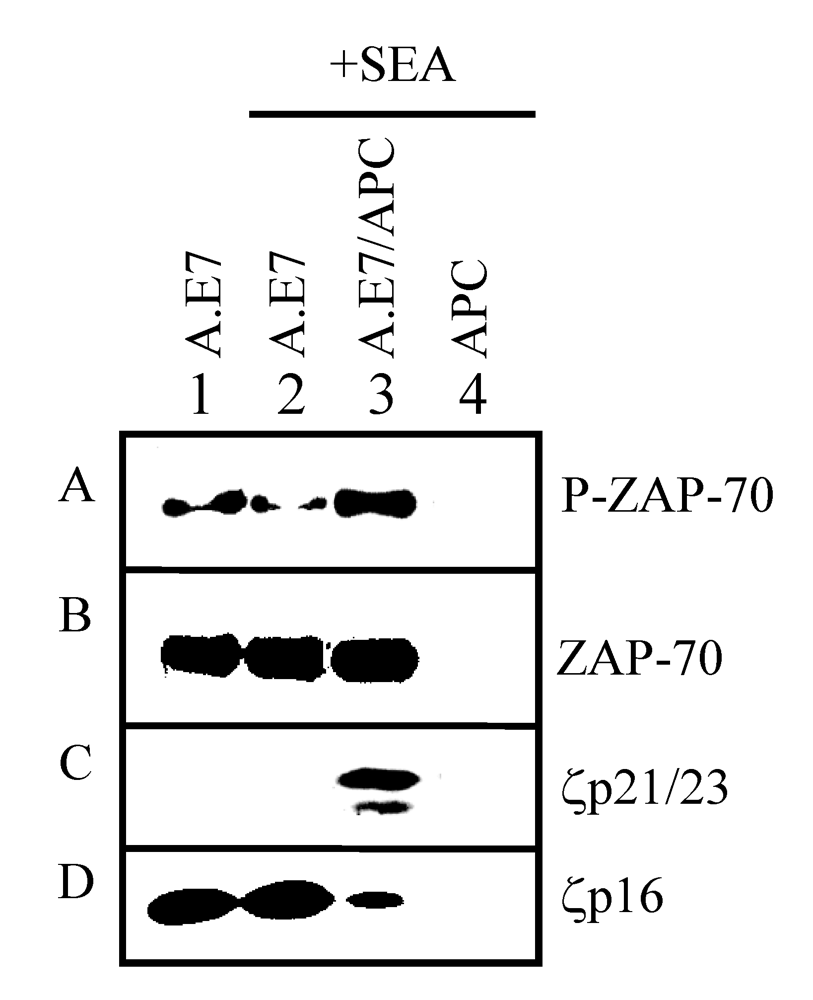Toxins 02 01704 g005