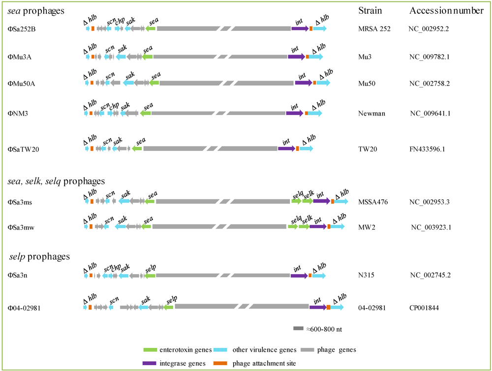 Toxins 02 01751 g002 1024