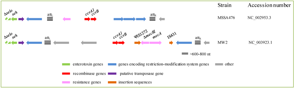 Toxins 02 01751 g006 1024