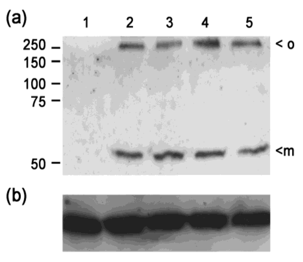 Toxins 02 01825 g004 1024
