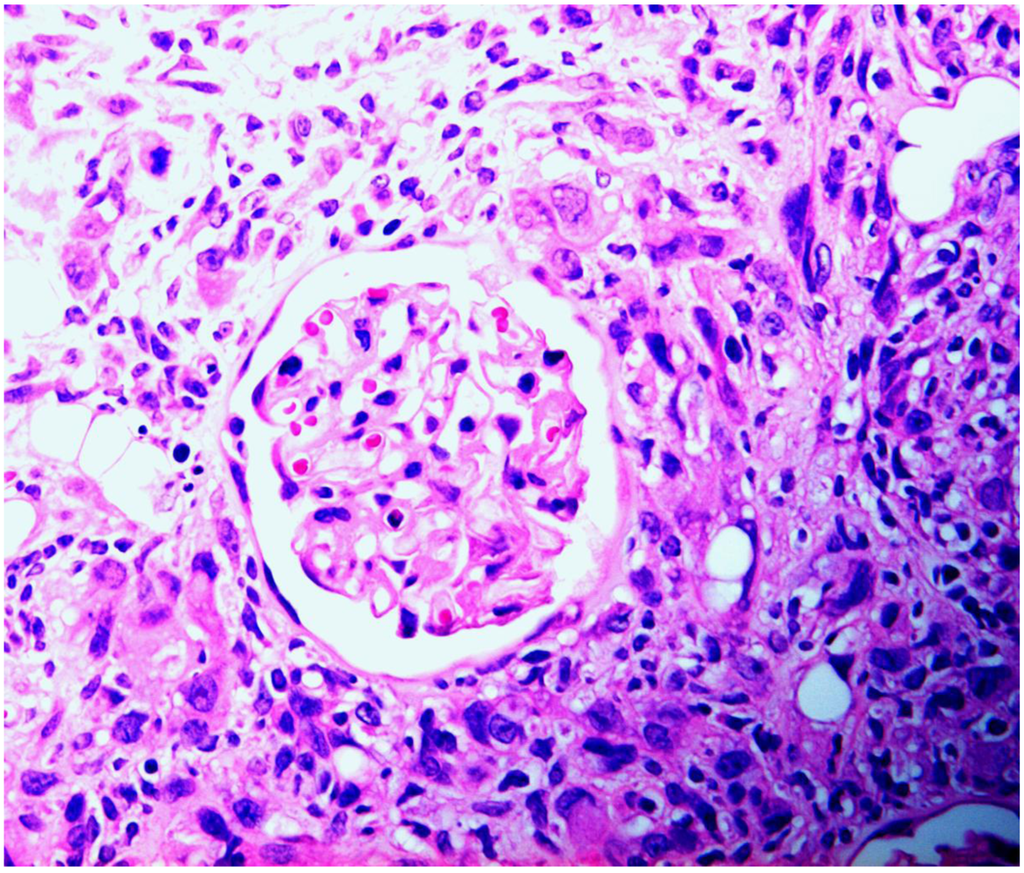 Toxins 02 02083 g004 1024