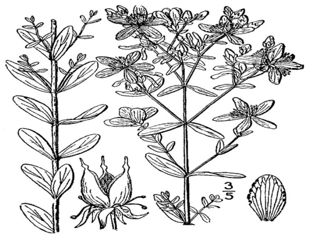 Toxins 02 02289 g001 1024