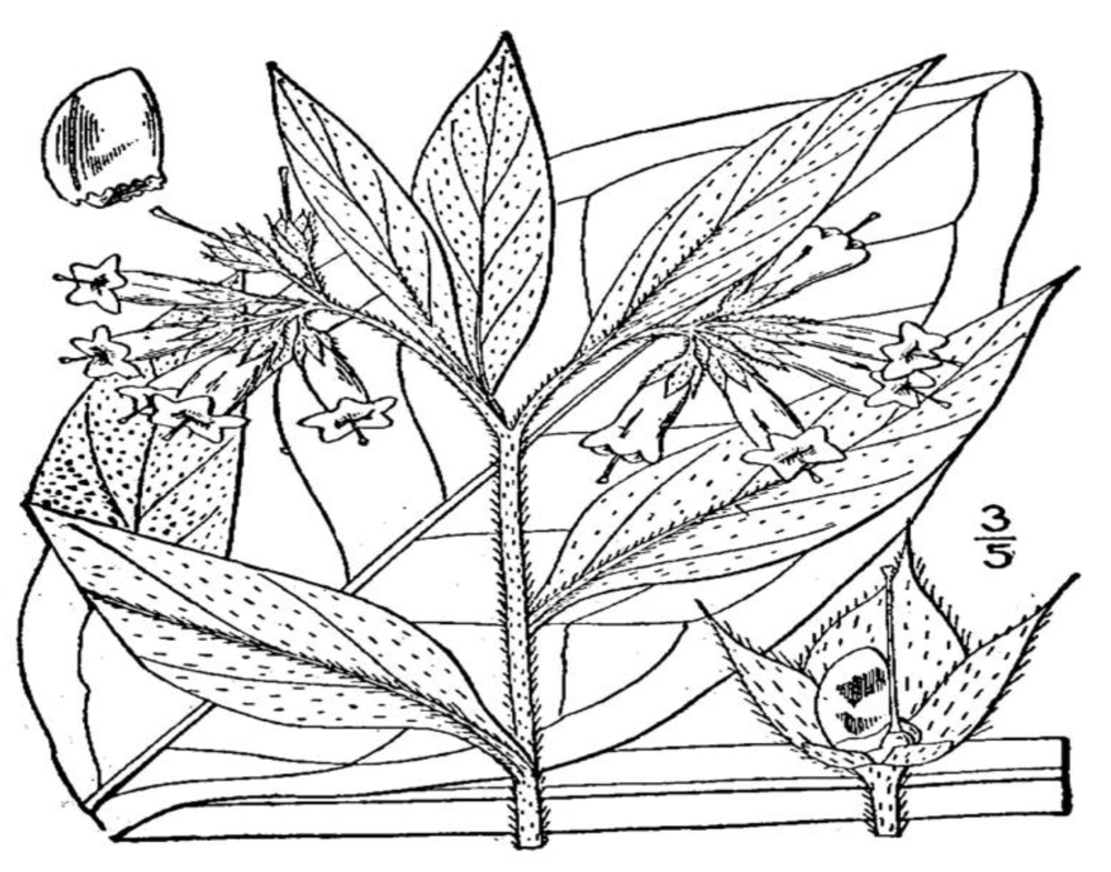 Toxins 02 02289 g002