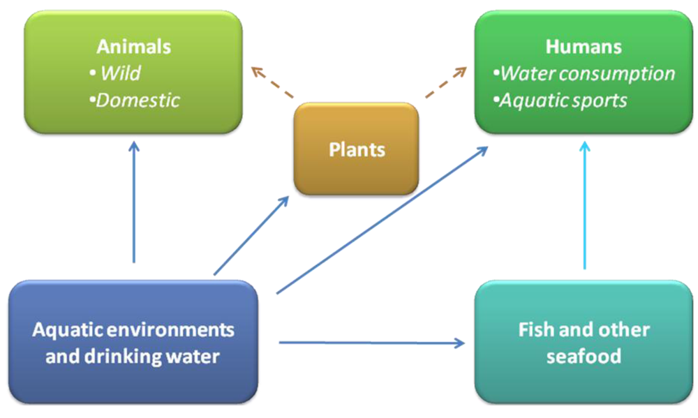 Toxins 02 02359 g001 1024