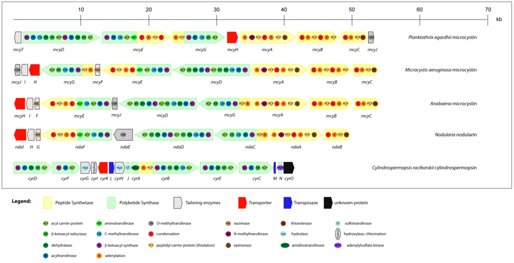 Toxins 02 02359 g003 1024