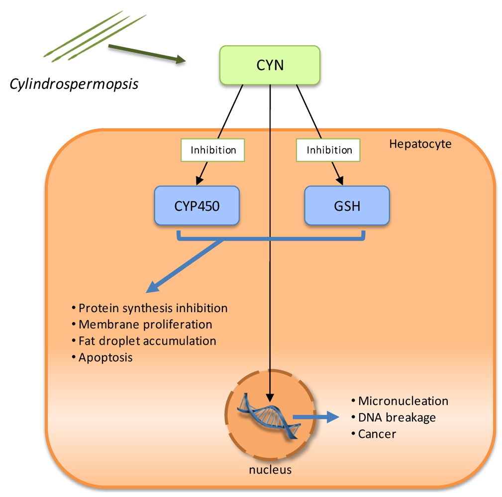 Toxins 02 02359 g004 1024