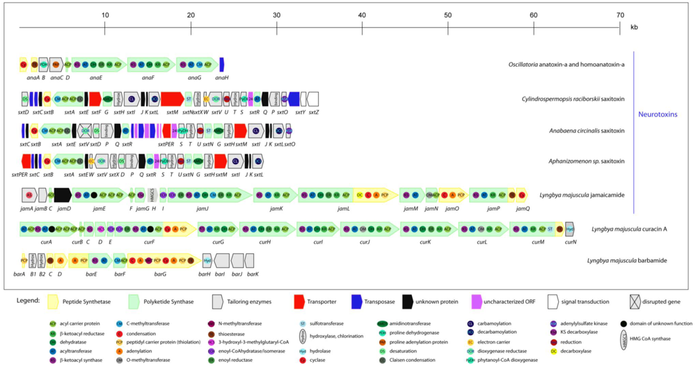 Toxins 02 02359 g006 1024
