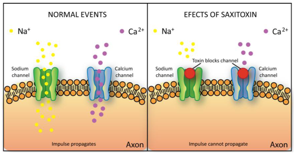 Toxins 02 02359 g007 1024