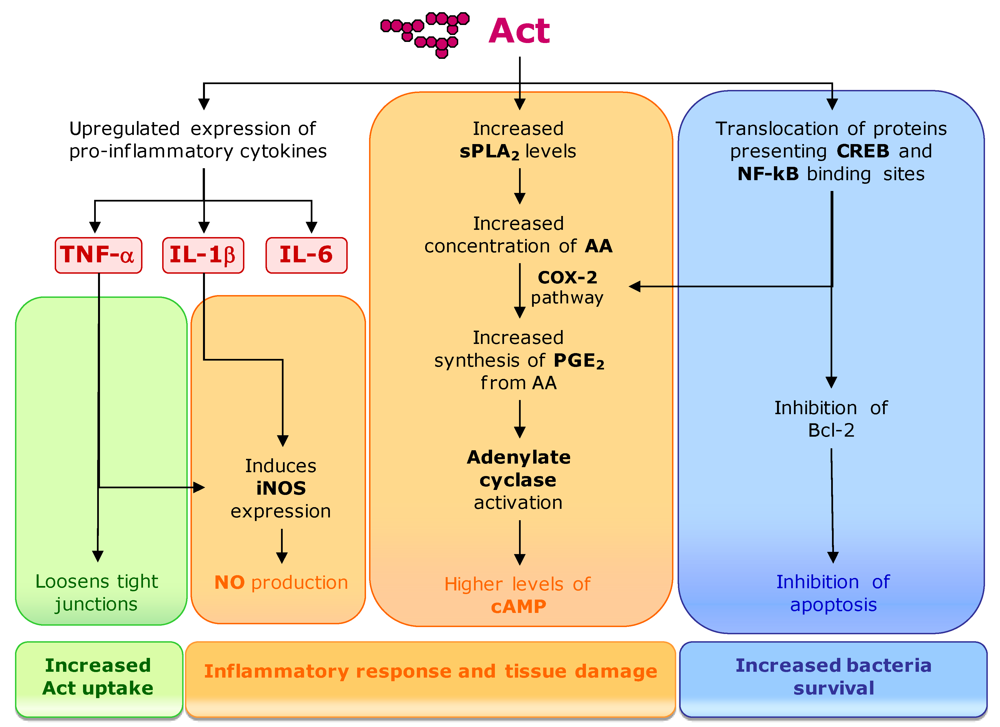 Toxins 02 02359 g009 1024