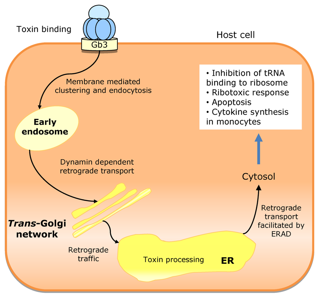 Toxins 02 02359 g010 1024