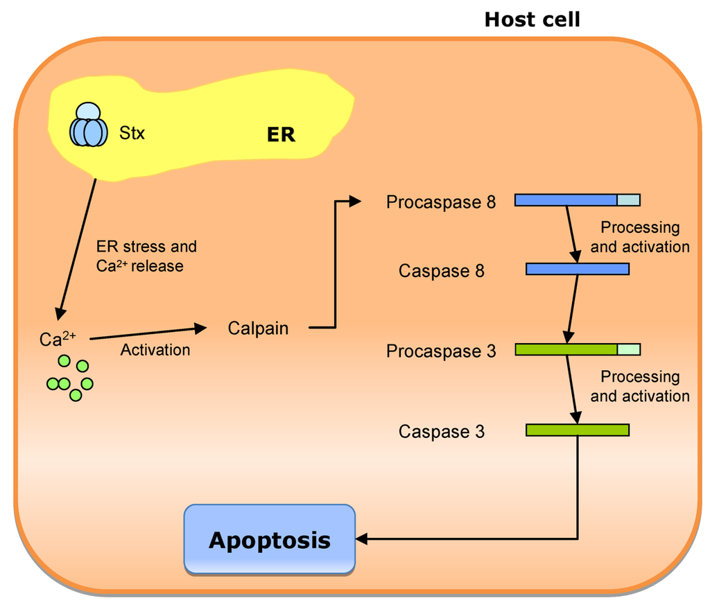 Toxins 02 02359 g011 1024