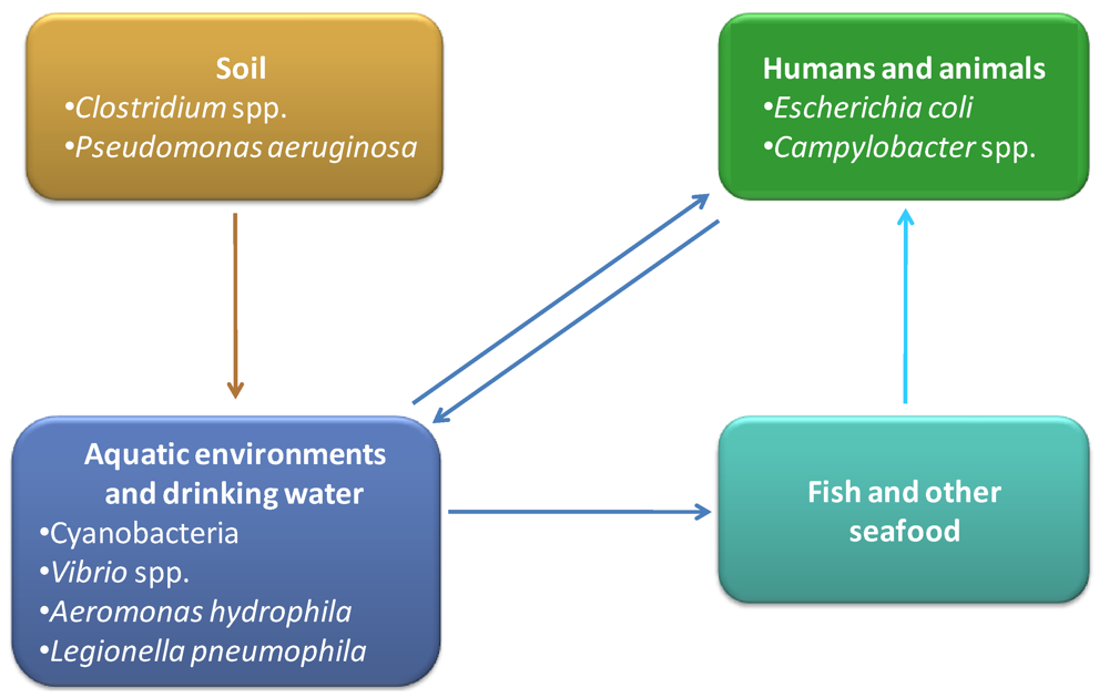 Toxins 02 02359 g012 1024