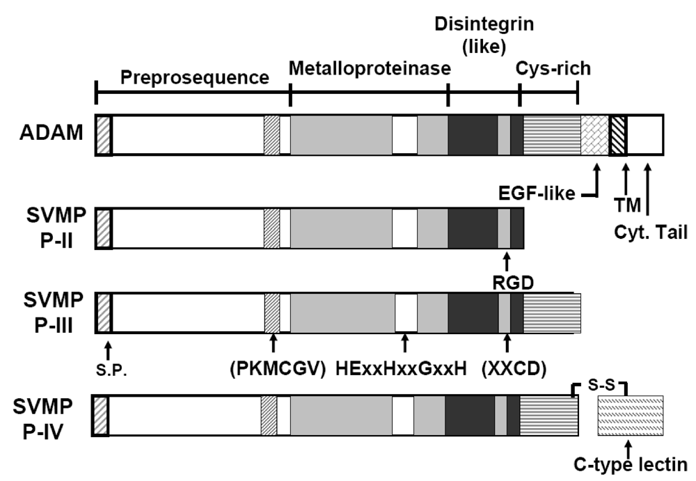 Toxins 02 02411 g002