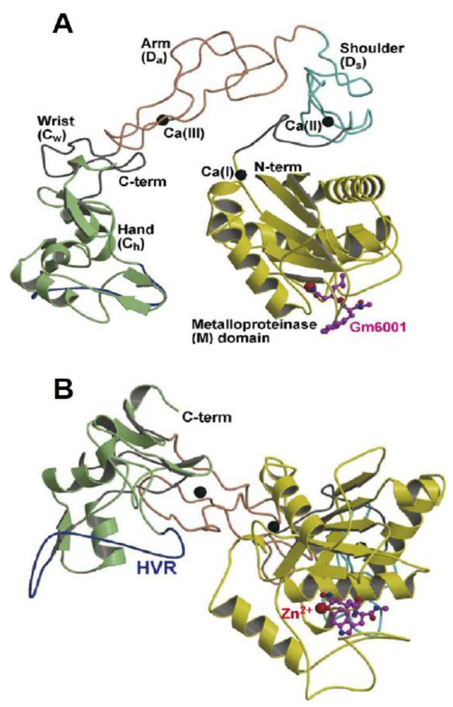 Toxins 02 02411 g003