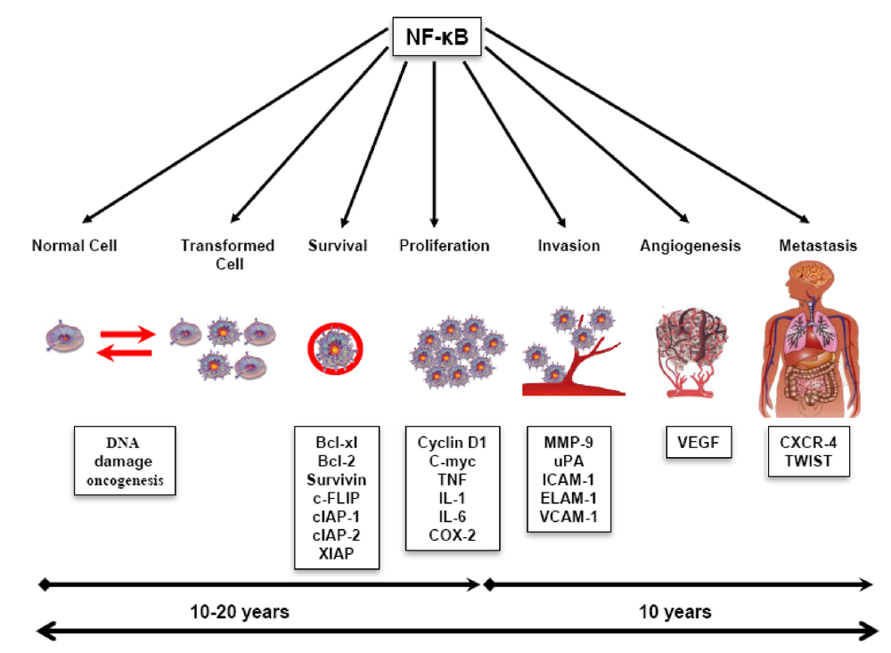Toxins 02 02428 g001 1024