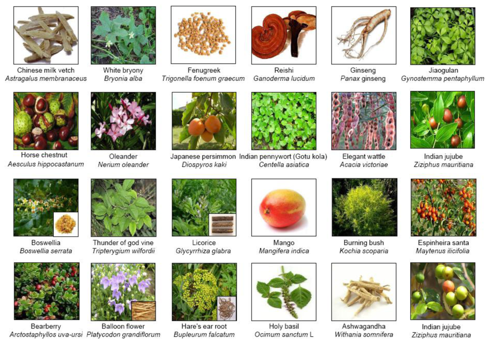 Toxins 02 02428 g002 1024