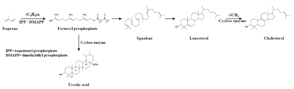 Toxins 02 02428 g004 1024