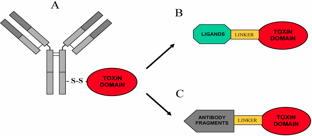 Toxins 02 02699 g005 1024