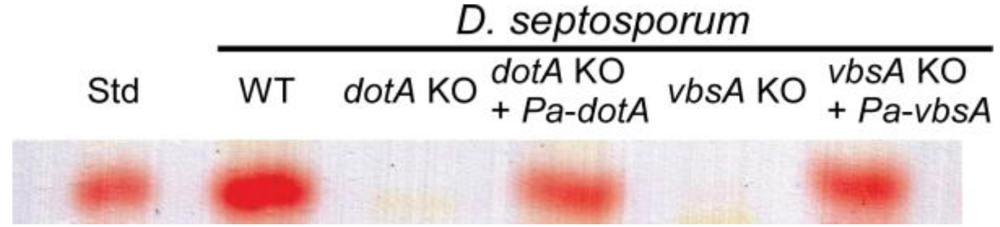 Toxins 02 02738 g001 1024