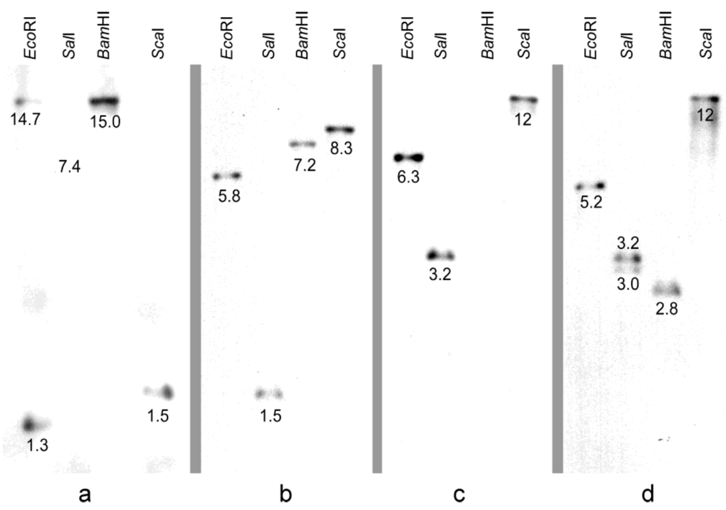 Toxins 02 02738 g004 1024