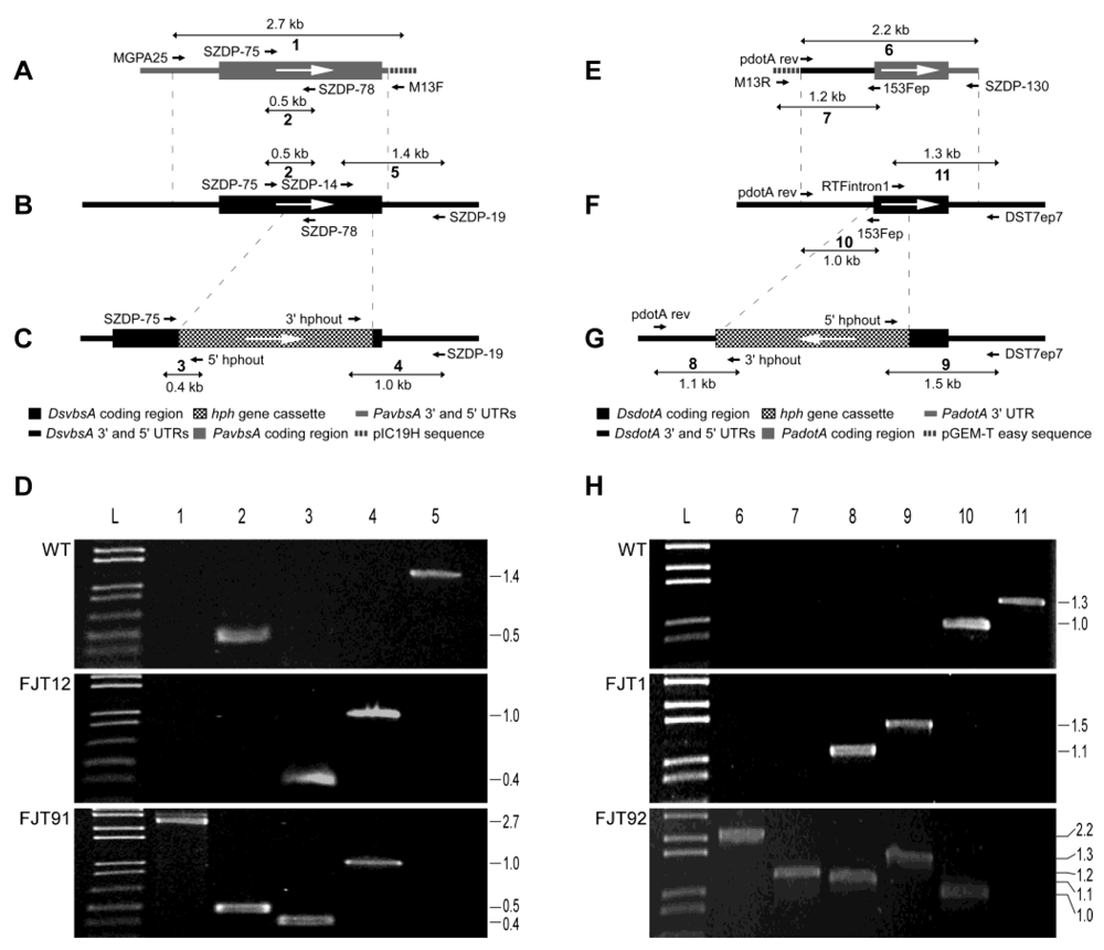 Toxins 02 02738 g005 1024