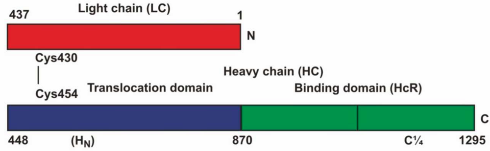 Toxins 02 02872 g001