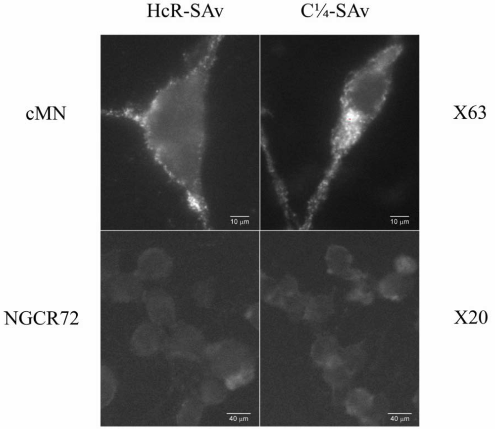 Toxins 02 02872 g003