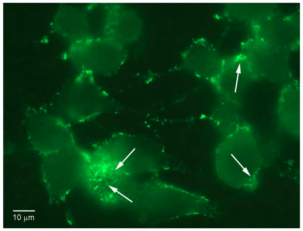 Toxins 02 02872 g005 1024