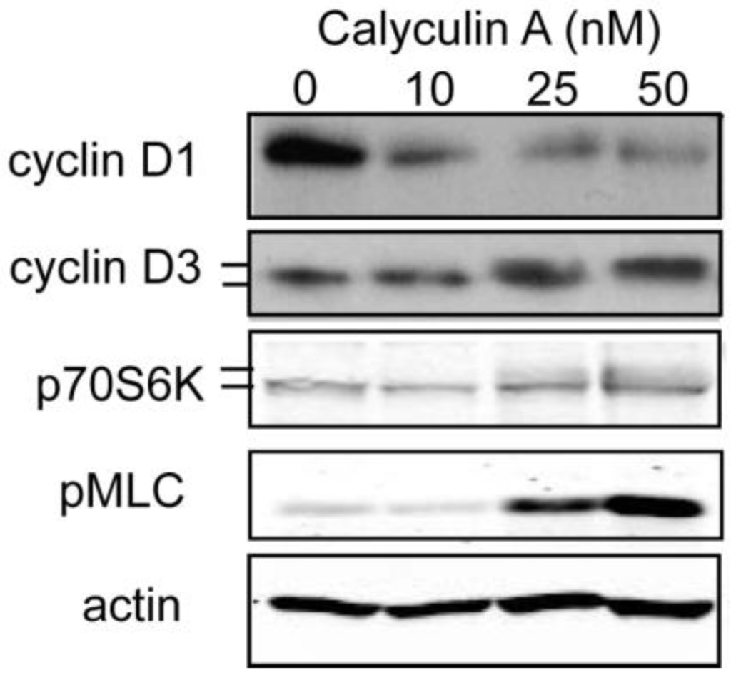 Toxins 03 00105 g002 1024