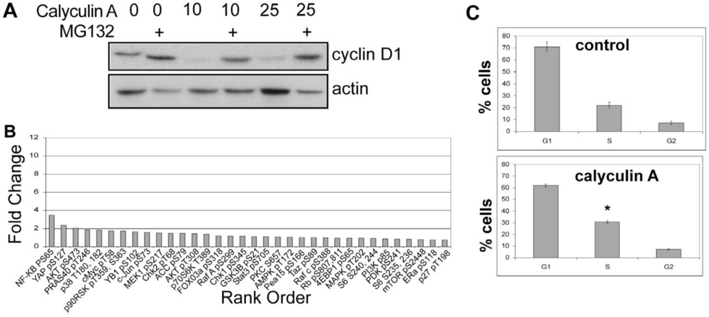 Toxins 03 00105 g006 1024