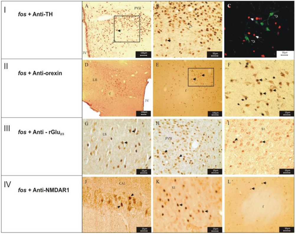 Toxins 03 00142 g006 1024