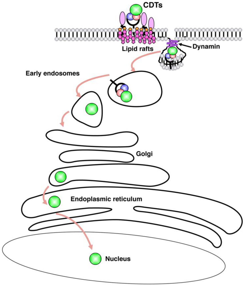 Toxins 03 00172 g001 1024
