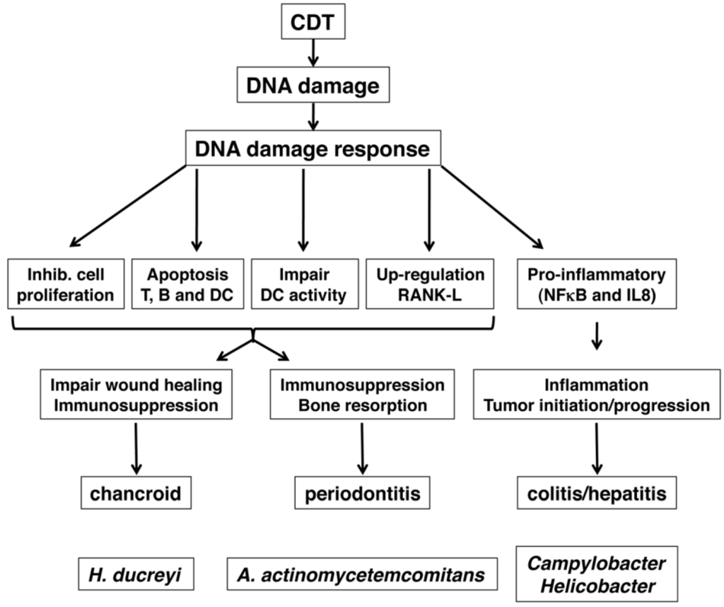 Toxins 03 00172 g003 1024