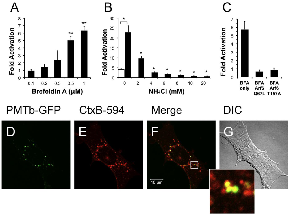 Toxins 03 00218 g005 1024