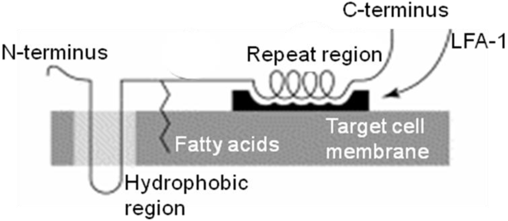 Toxins 03 00242 g004 1024