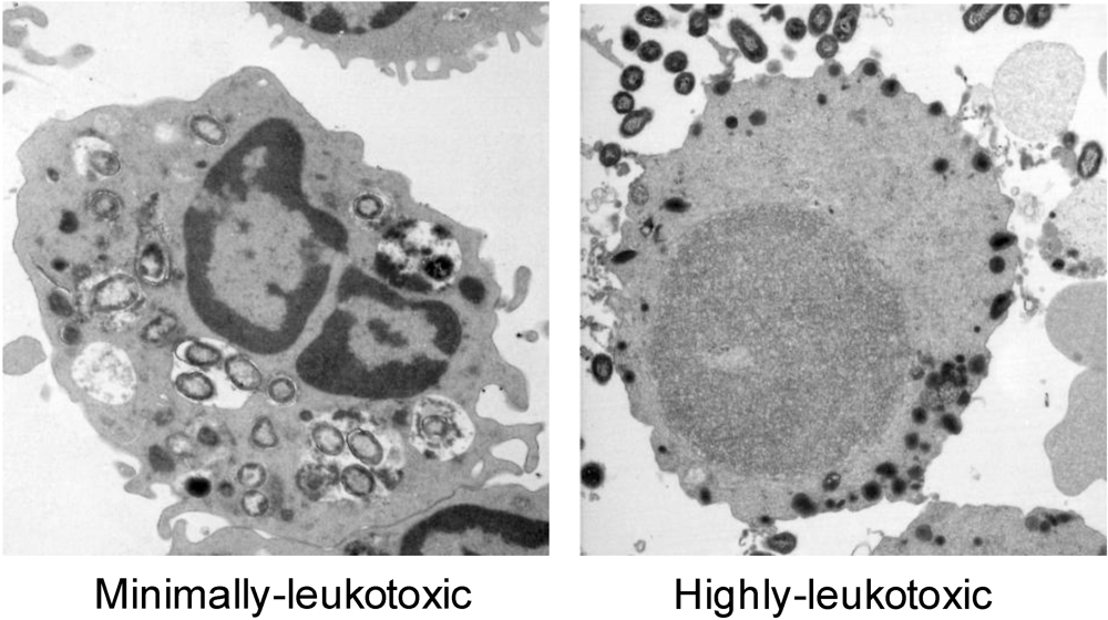Toxins 03 00242 g005 1024