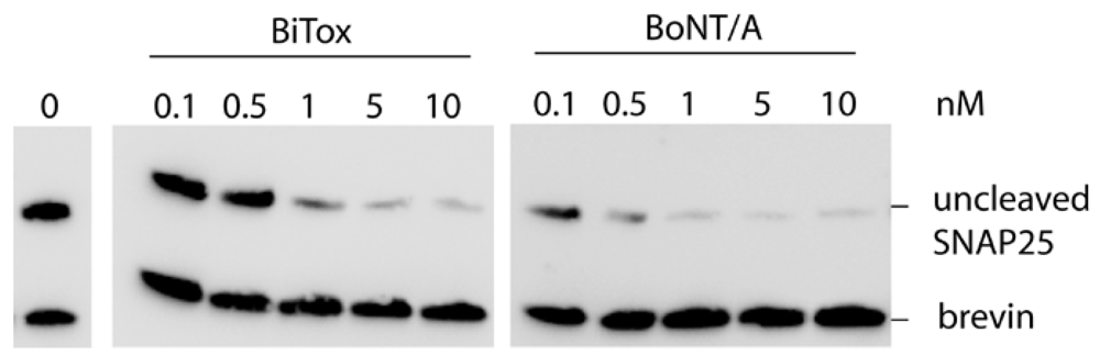 Toxins 03 00345 g002 1024
