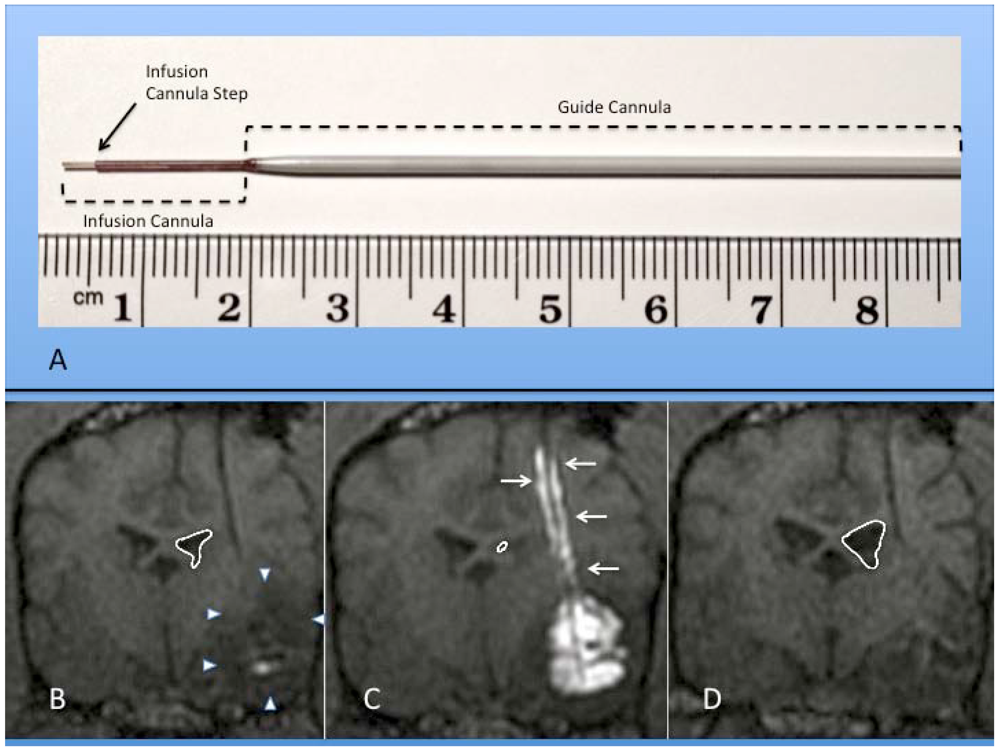 Toxins 03 00369 g002 1024