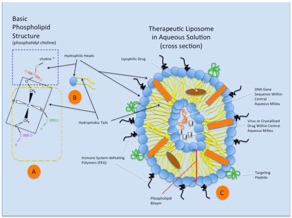 Toxins 03 00369 g003 1024