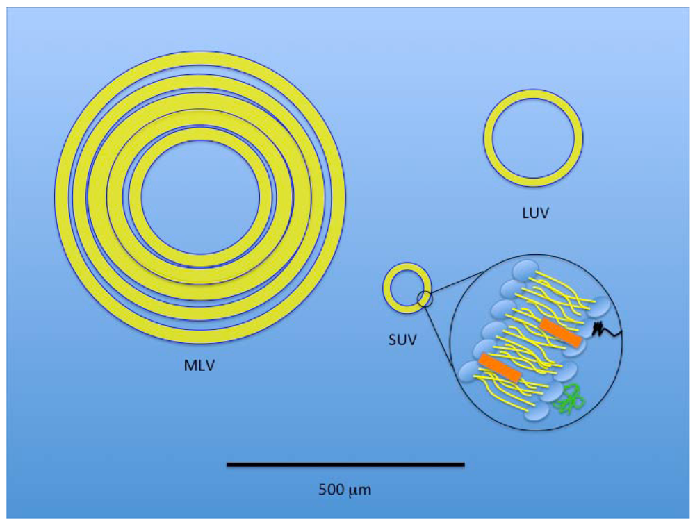 Toxins 03 00369 g004 1024
