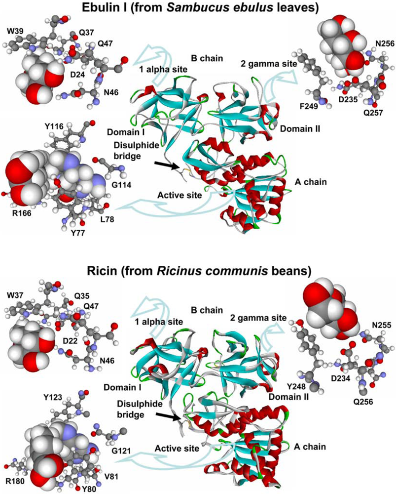 Toxins 03 00420 g001 1024