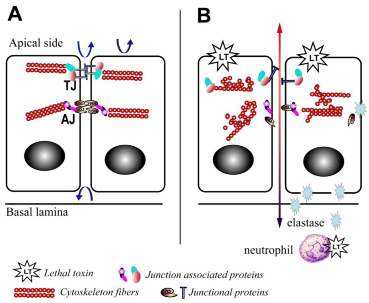 Toxins 03 00591 g002