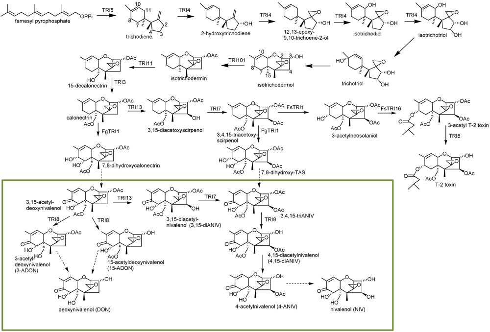 Toxins 03 00802 g002 1024